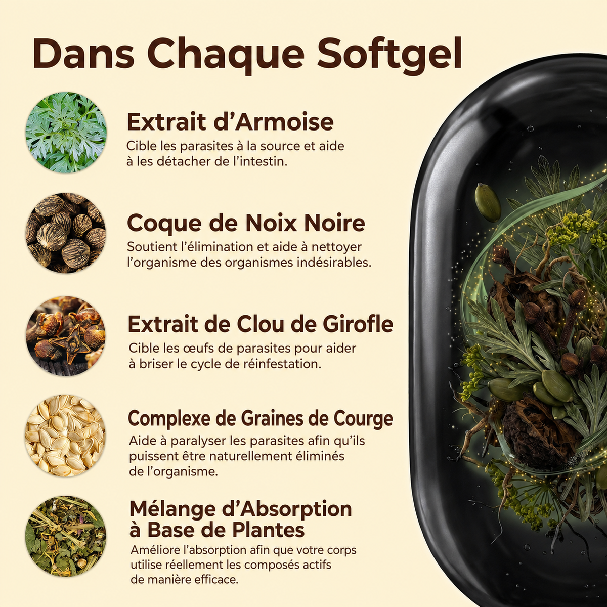 Gélules d’armoise, de noix noire, de graines de courge et de clou de girofle