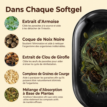 Gélules d’armoise, de noix noire, de graines de courge et de clou de girofle