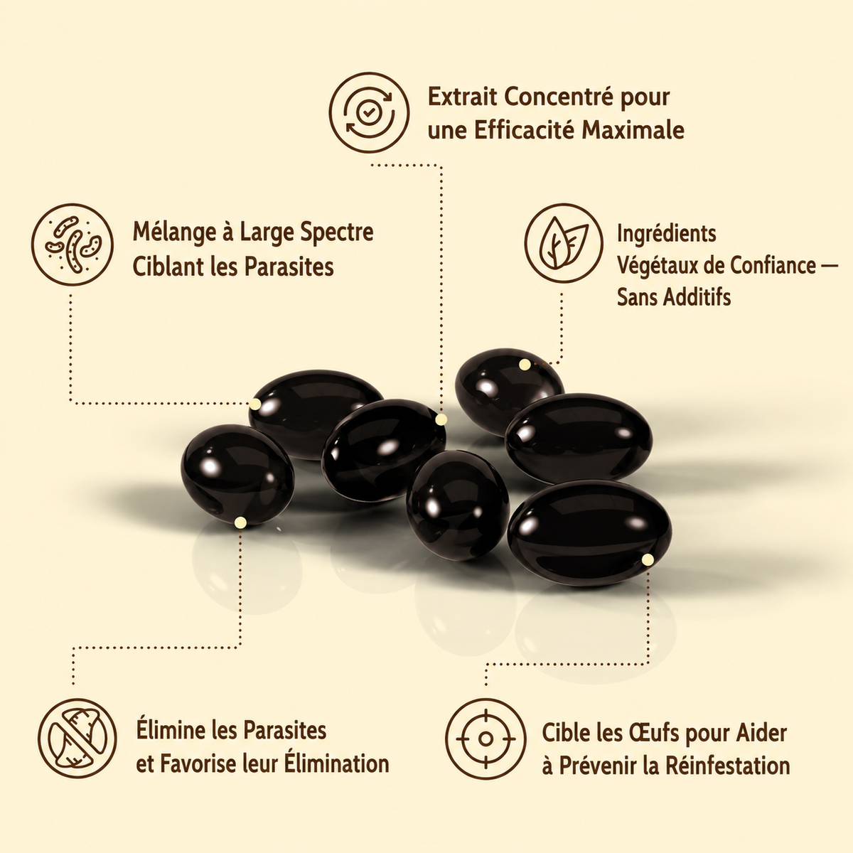 Gélules d’armoise, de noix noire, de graines de courge et de clou de girofle