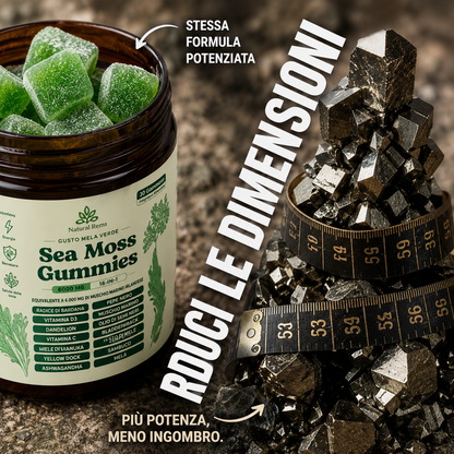 Speed Up Your Rebuild with SeaMoss Gummies