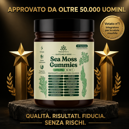 Speed Up Your Rebuild with SeaMoss Gummies